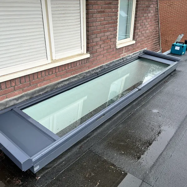 De Meern topblind L